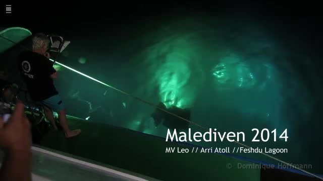 Manta-Nightdive-Malediven2014 O-Ton